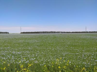 Прикрепленное изображение: photo_2022-06-20_08-10-47.jpg